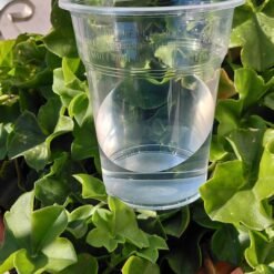 Πλαστικά Ποτήρια 400ml – Συσκευασία 50 Τεμαχίων